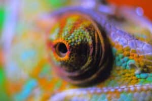 Colour Trance Gruppenhaling